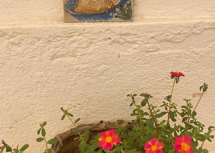 Don Ciccio Gh Bed & Breakfast